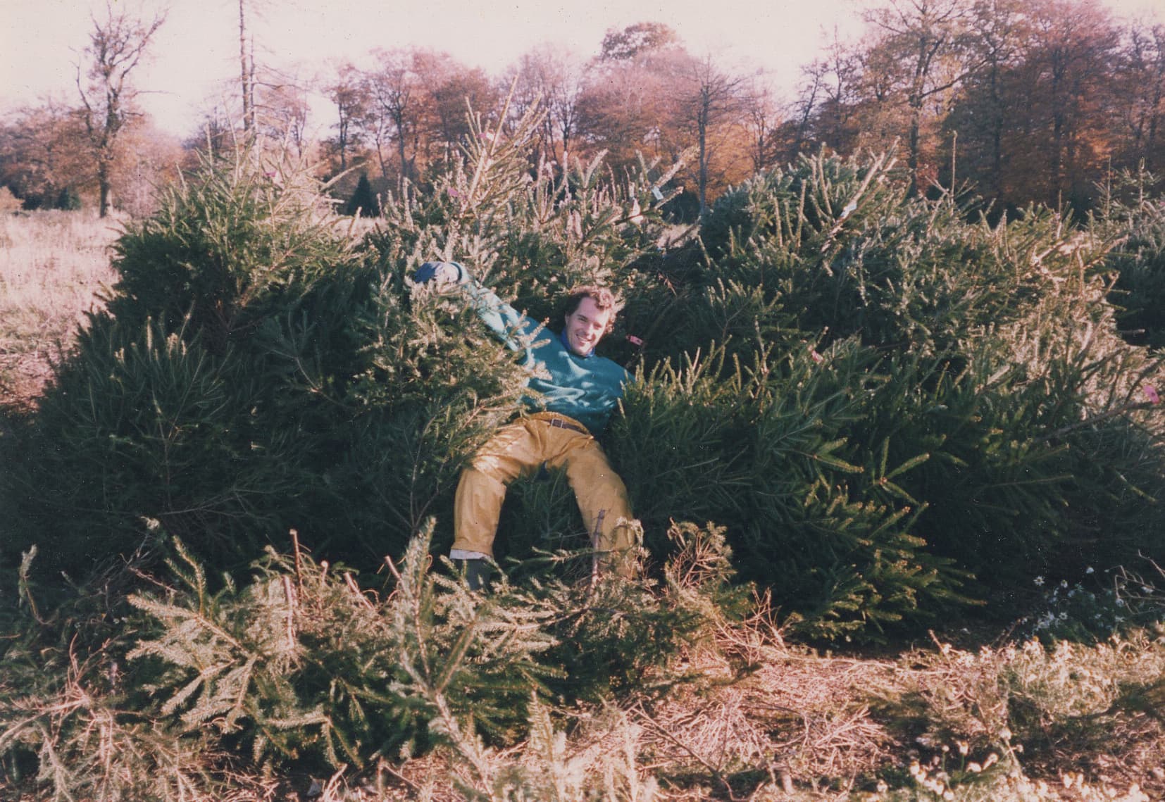 Kerstbomen kweken